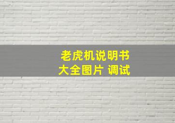 老虎机说明书大全图片 调试